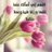 domestic_work's profile image