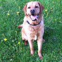 Janice Wing - @Jwing27 - Twitter