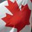canadiandefence's profile image