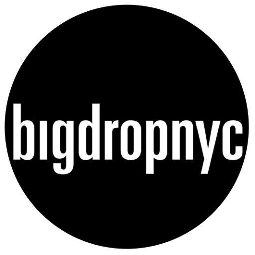 Know an alternate online store even better than Bigdropnyc? Share this listing