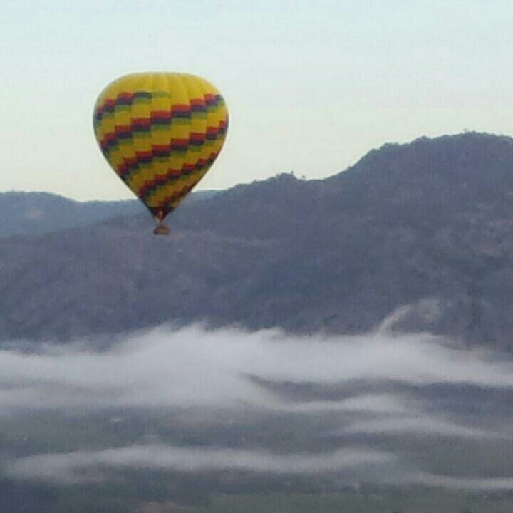 yazzjg's profile picture. 