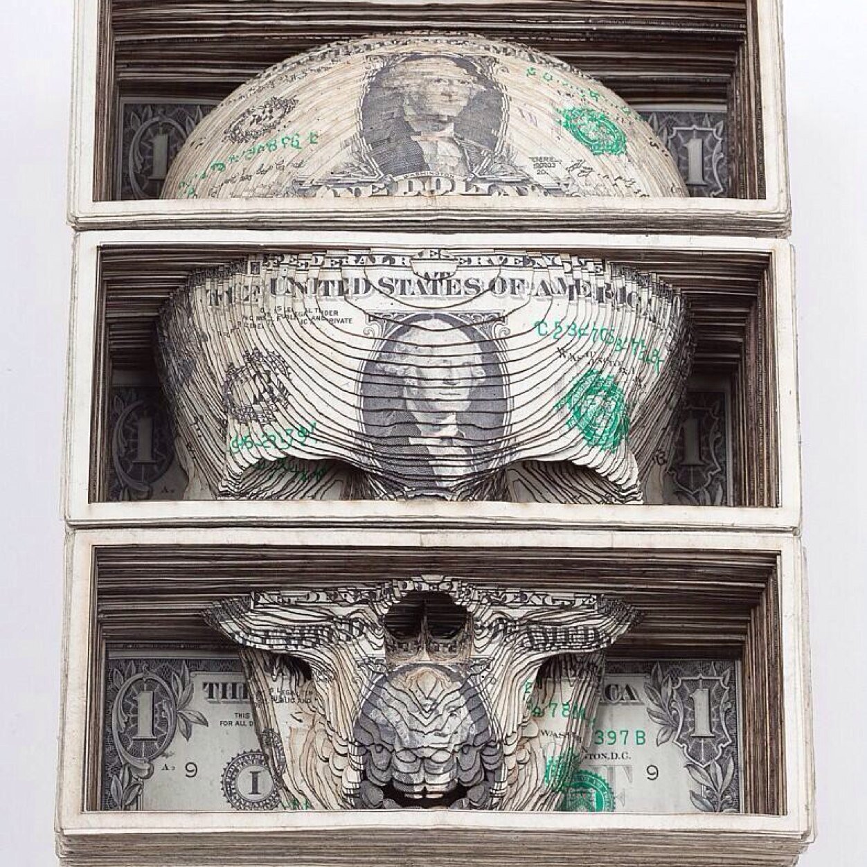 tlorimer's profile picture. Equity Options Market Maker turned Broker and Investor of Real Estate