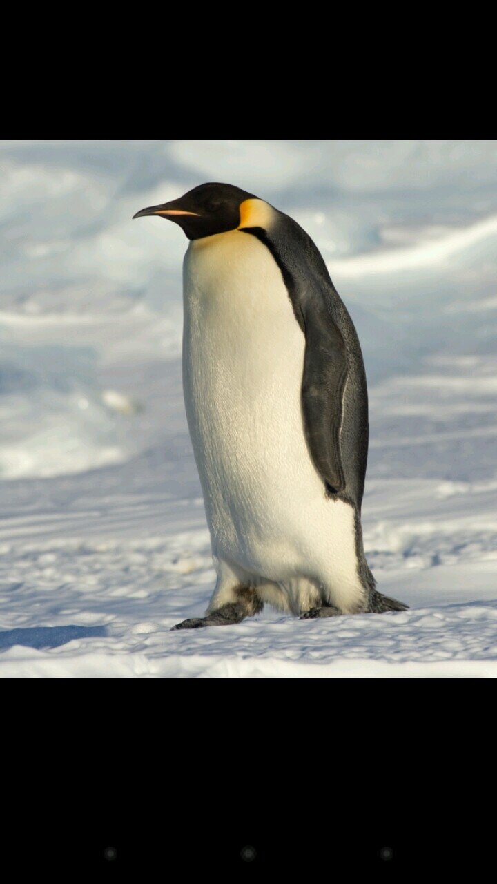 y0Zaqahh's profile picture. 