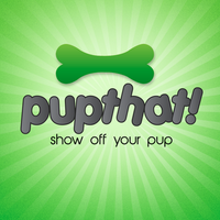 pupthat! (@pupthat) 's Twitter Profile