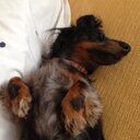 Andrew Lamont - @AndrewLamont08 - Twitter