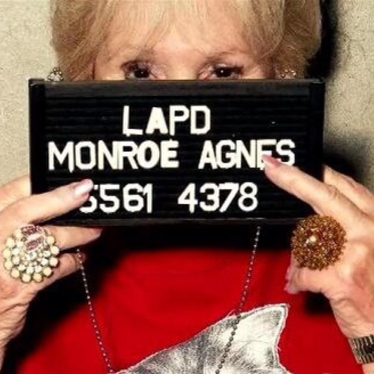 The official page for Agnes Monroe of the #Film The Gestapo vs Granny. Help us by giving us a thumbs up on YouTube: http://t.co/lCe1CPpWUu