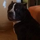 steven marrero - @stevenmarrero6 - Twitter