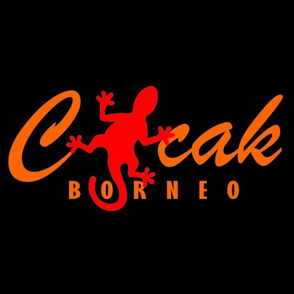 CicakBorneo