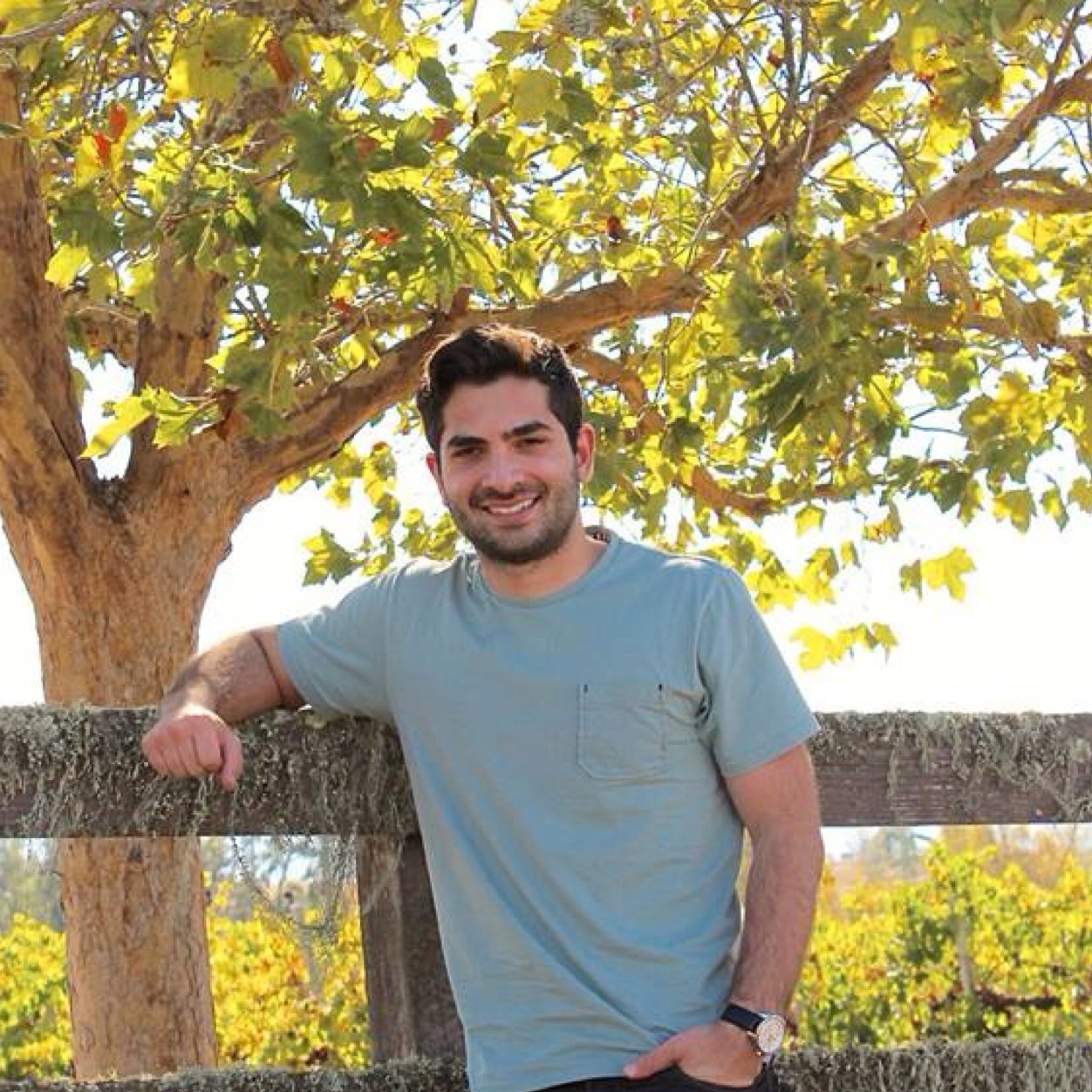 AtilaLotfi's profile picture. 