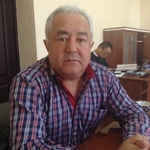 Независимый эксперт сектора ННО/профессиональный переводчик