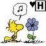 falfans's profile picture. I'm a New Englandah but i don't have an accent because i live here.