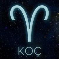 Koç Burcu (@kocburc) 's Twitter Profile Photo