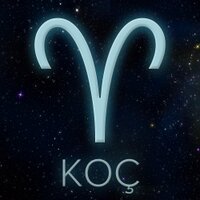 Koç Burcu(@kocburc) 's Twitter Profile Photo