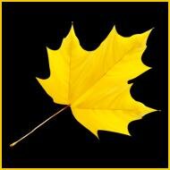 Create a tribute for a loved one who has passed away, as a memorial or an obituary.Visit now http://t.co/MoMfOnm78e