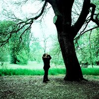 Ostara London (@ostaralondon) 's Twitter Profile