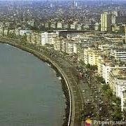 servicepoint11's profile picture. Accomplishing the view of other.