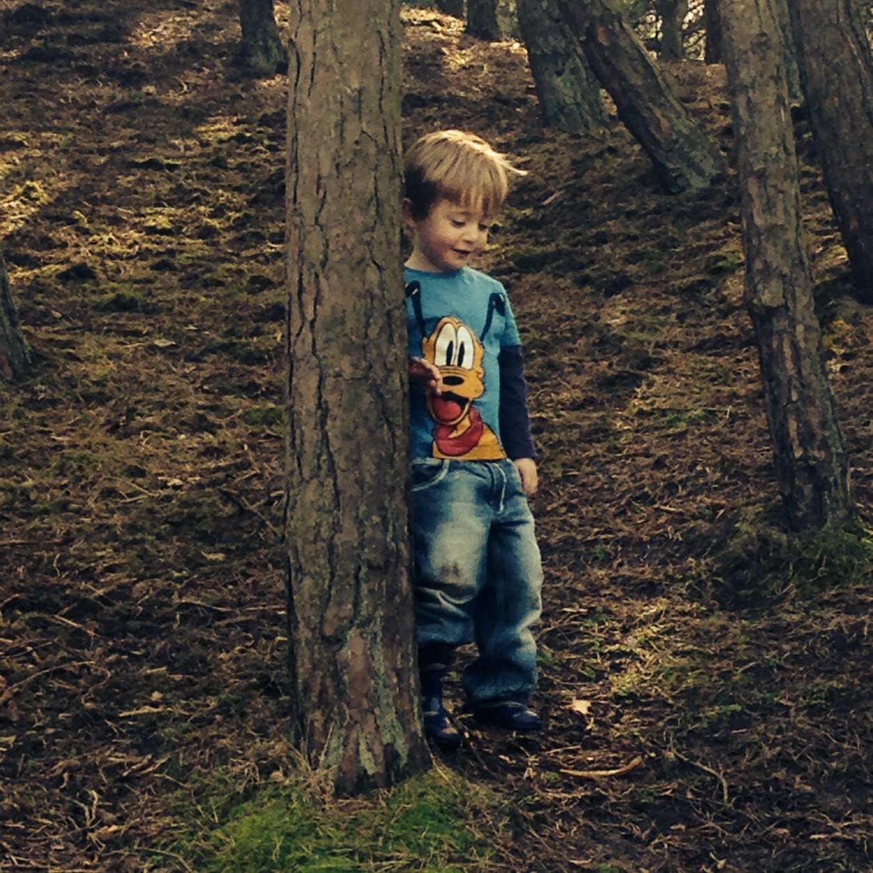 robotboys3's profile picture. 