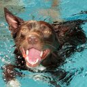 robyn watkins - @watto_mrs - Twitter