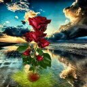 Tammy Crews - @8165e7f31127494 - Twitter