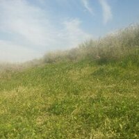 وما توفيقي الابالله. (@man138800) 's Twitter Profile