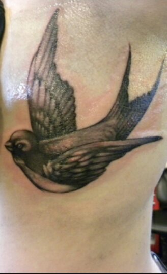 captains398's profile picture. xxi