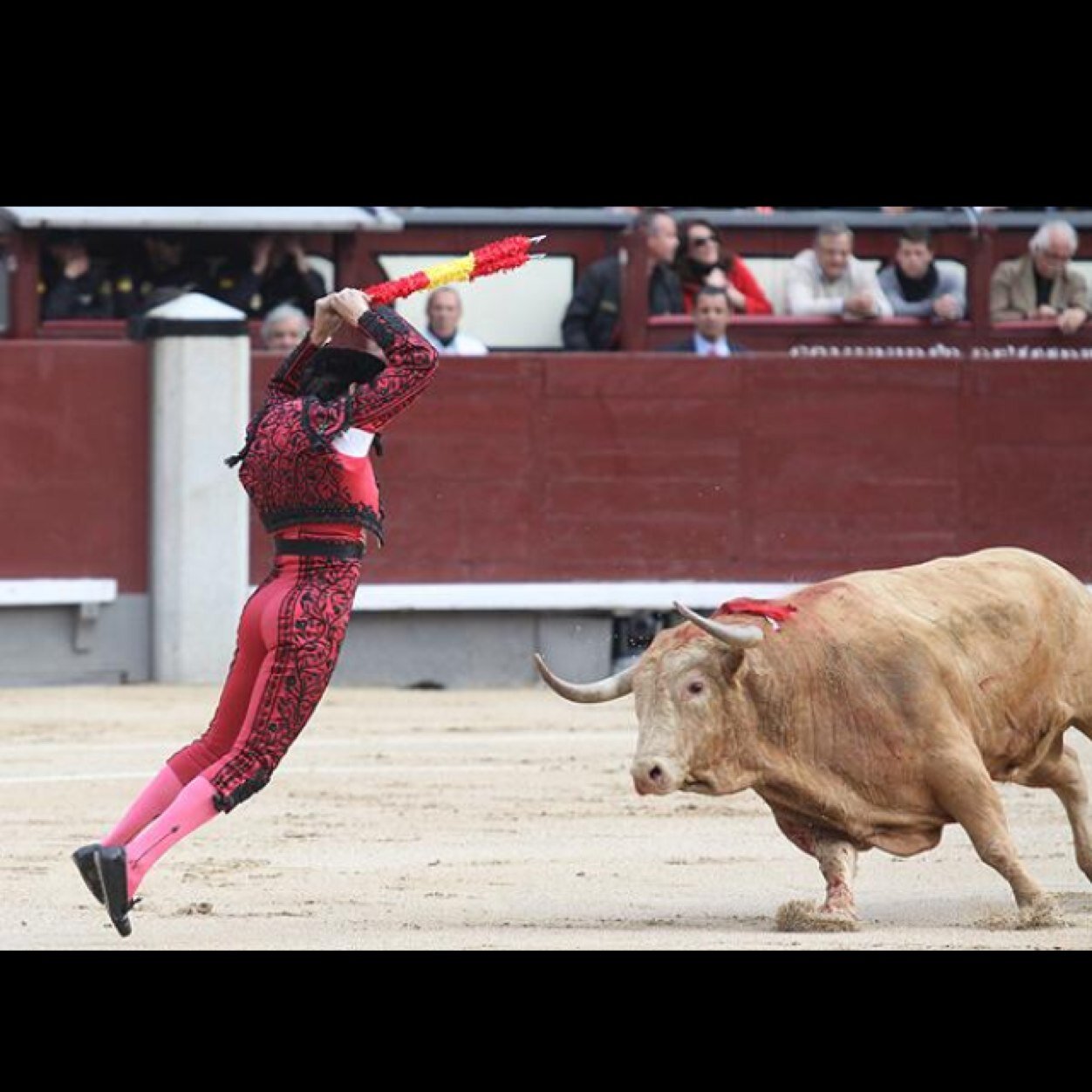 Banderillero de toros.