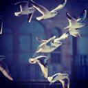 m (@11Rooo77) Twitter