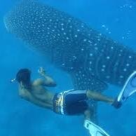 27shippe's profile picture. 