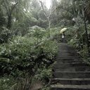 Fanyu Lin - @frankash_fan - Twitter