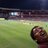 harursampath's profile image