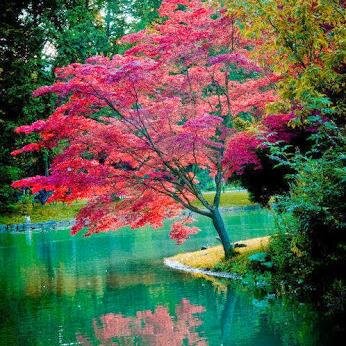 deepika_pl's profile picture. 