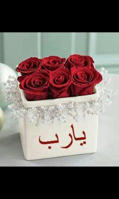 mr2020201's profile picture. ـ