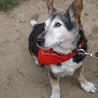 Debbie Walker (@debbiewalker22) 's Twitter Profile Photo