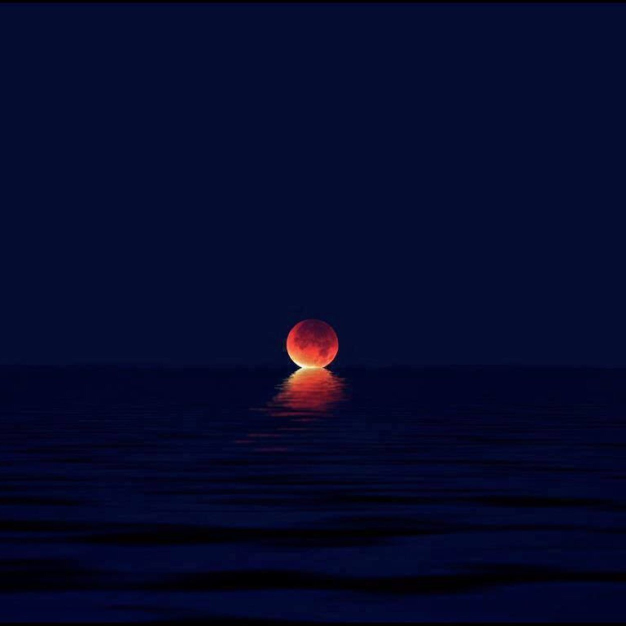 Vhtvht4's profile picture. 