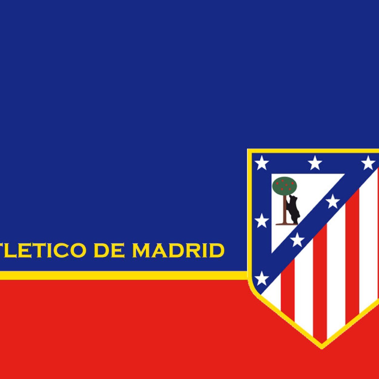 atletiindo Profile Picture