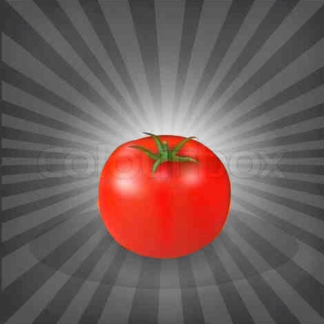tomatoes do it right