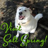 SaltSpring Market (@visitsaltspring) Twitter profile photo