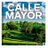 RevCalleMayor's profile image