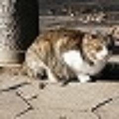 スキーとバスケの情報収集してます！