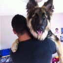 karl teague - @karl_teague - Twitter