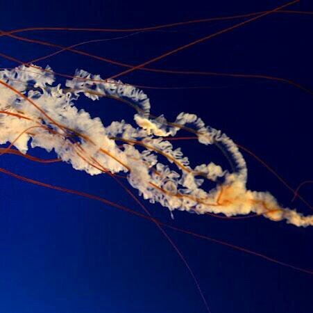 WisitG1's profile picture. 