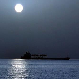 1235463bod's profile picture. 