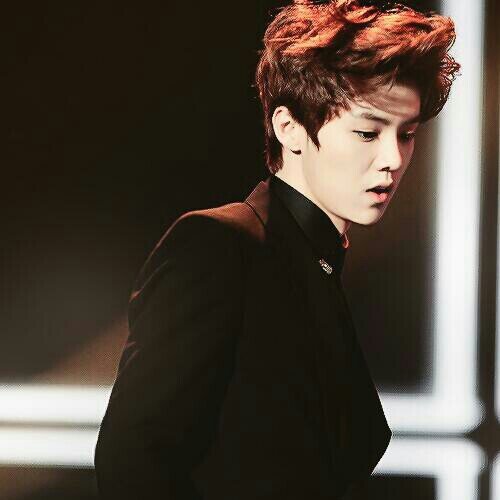 xoelha88's profile picture. ©1990