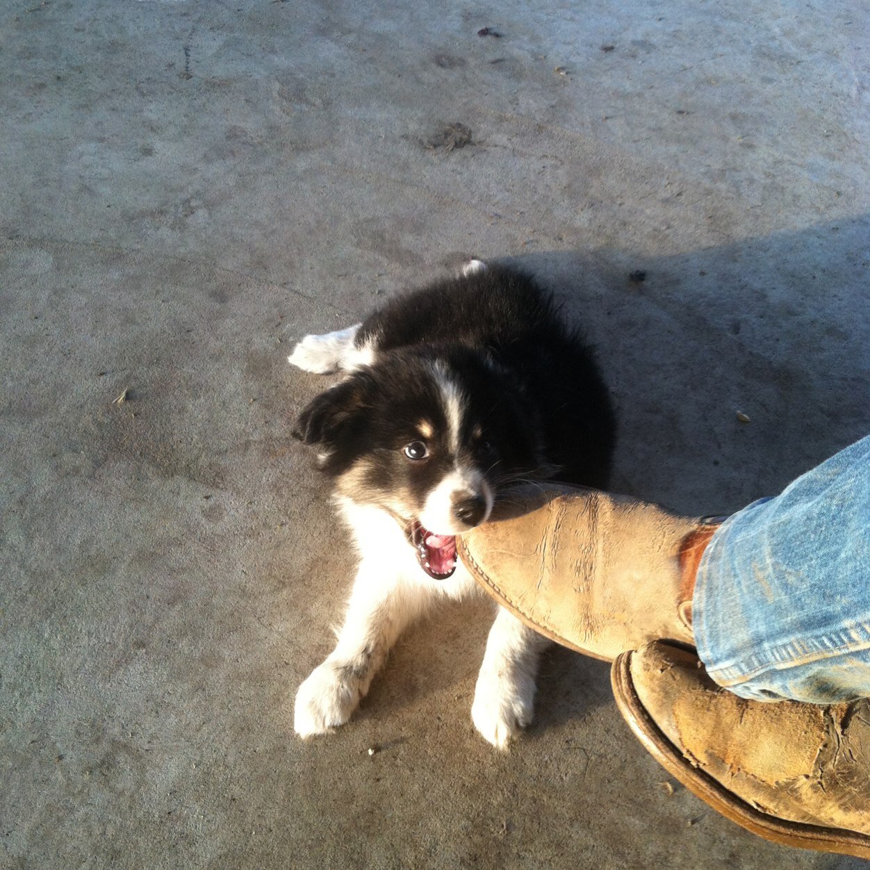 mizzuboatride's profile picture. Shelter Ins Agent; Derby Football Qb Coach; Farmer