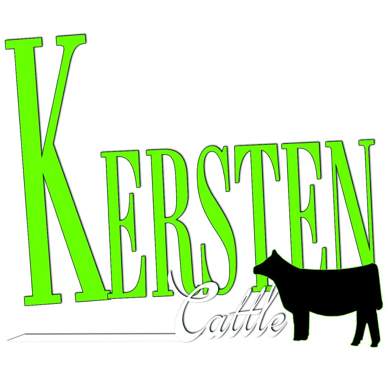 KerstenCattle Profile Picture