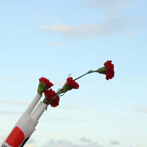 clavelesrojos_'s profile picture. Agencia de reportajes, análisis y entrevistas sobre #Portugal. Una mirada directa y cercana al país vecino de la mano de @patriziaRtzo y @_Ro_Sanchez