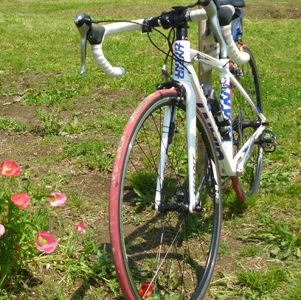 nyan_k's profile picture. 江戸川CRをﾛｰﾄﾞで走っています。野鳥撮影は河川敷と近くの公園を徘徊しています。
機材：Olympus OM1100mm-400mmF5.0-F6.3