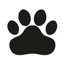 Steven_test - @steven_test - Twitter