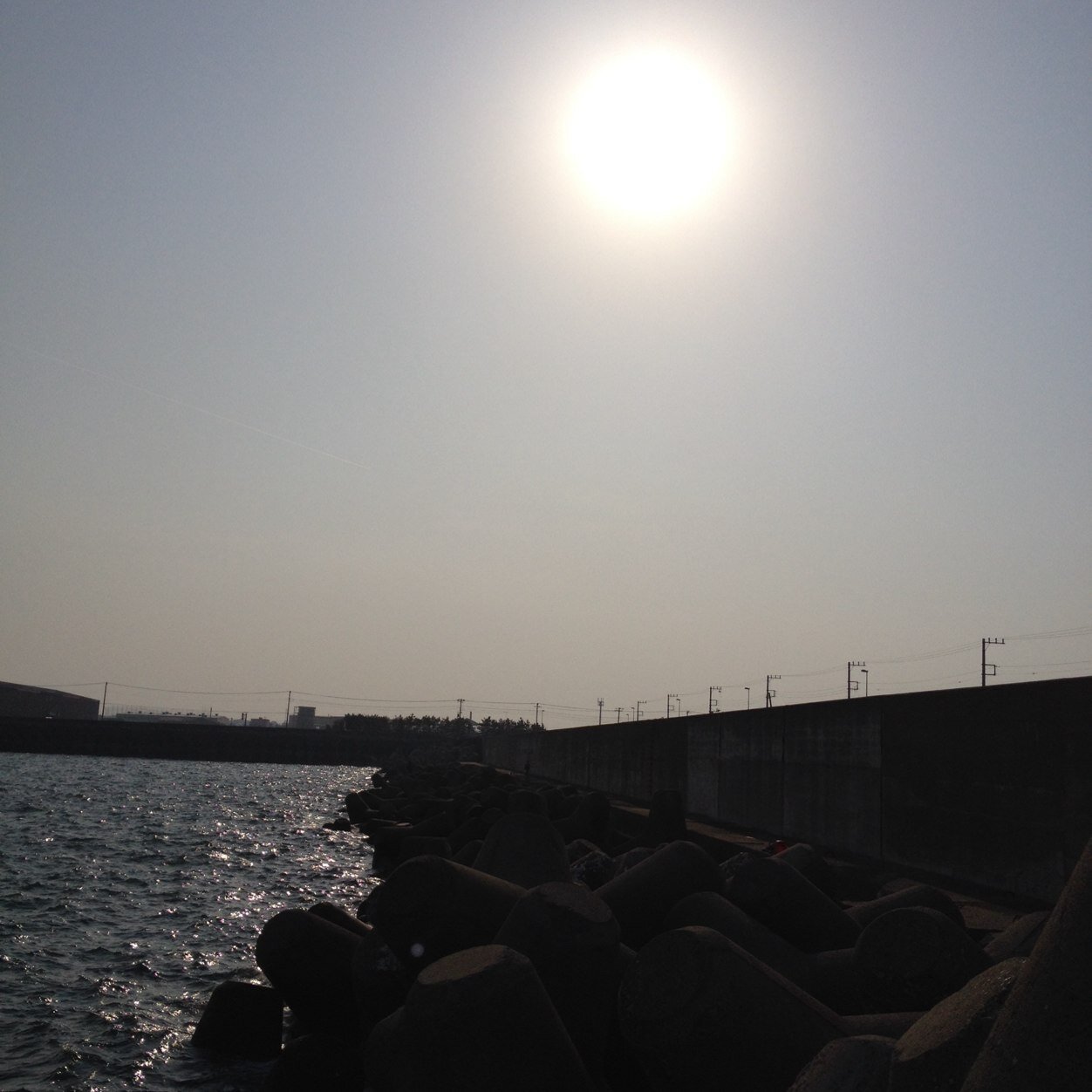 僕の一日…………ただ、一日に一回自分が今日思った事をつぶやきます。