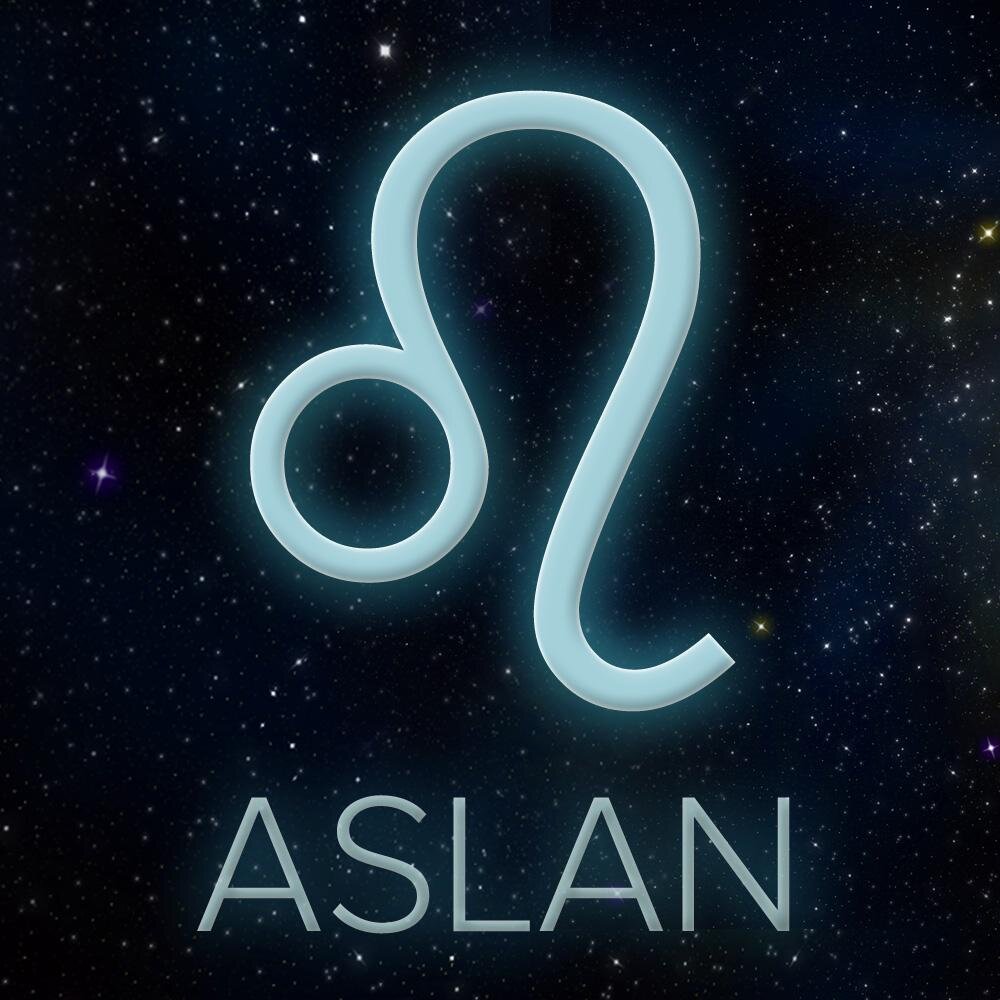 AslanBurclari Profile Picture